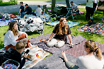 Bild-10