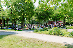 Bild-2