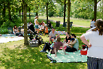 Bild-3