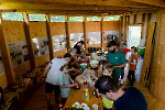 Bild-6
