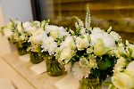 Bild-1