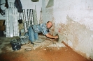 2006